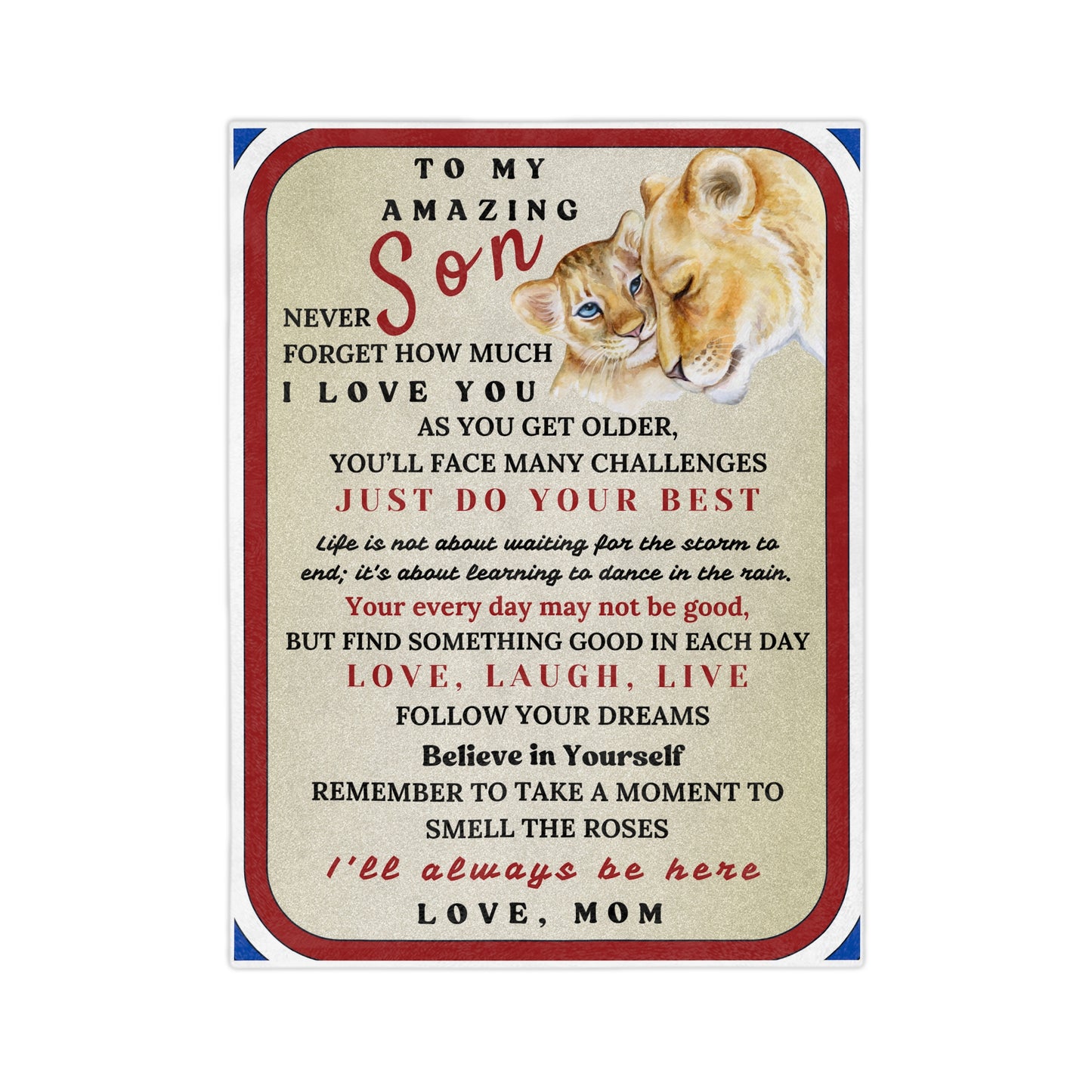 Velvet Minky Blanket for Son